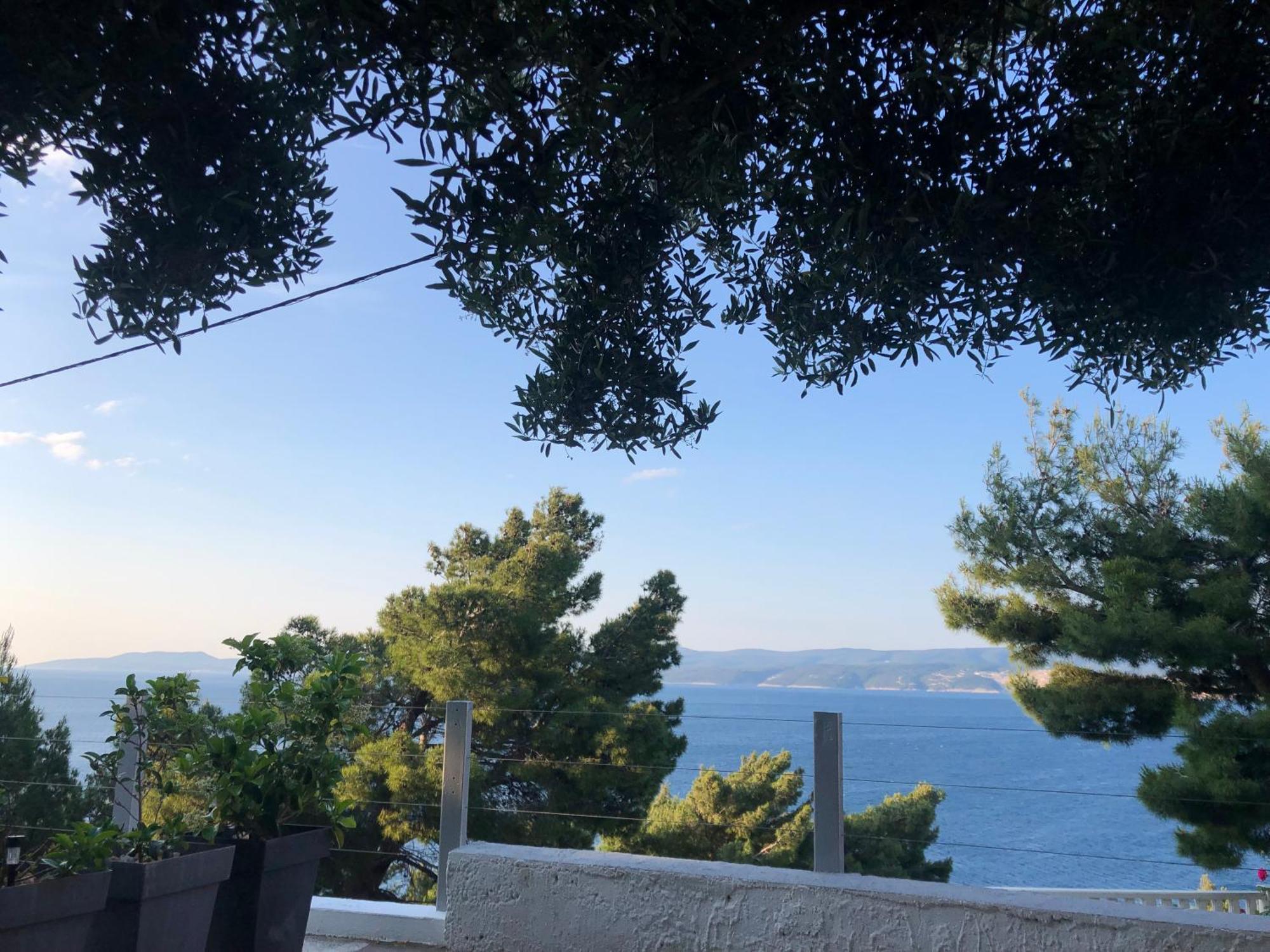 Apartmani Milka I Jozo Omiš Стая снимка