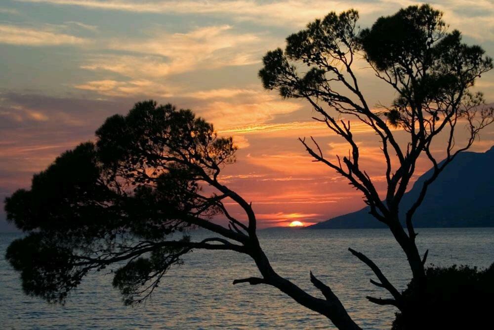 Apartmani Milka I Jozo Omiš Екстериор снимка
